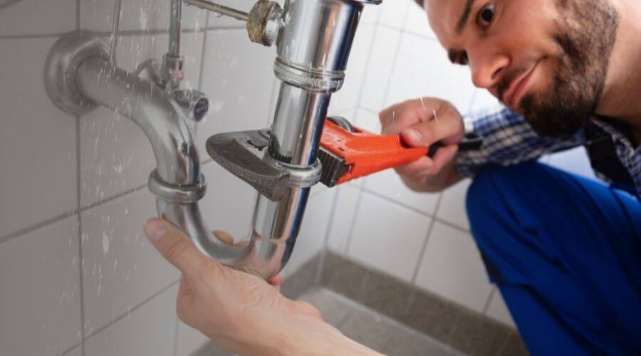 Professional same day plumber services in Hollytree, AL